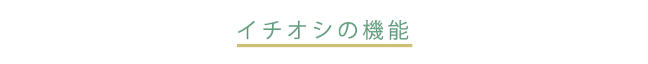 いちおしの機能